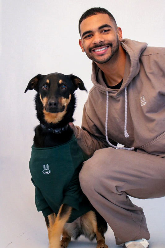 Dark green cotton dog jumper, made in South Africa