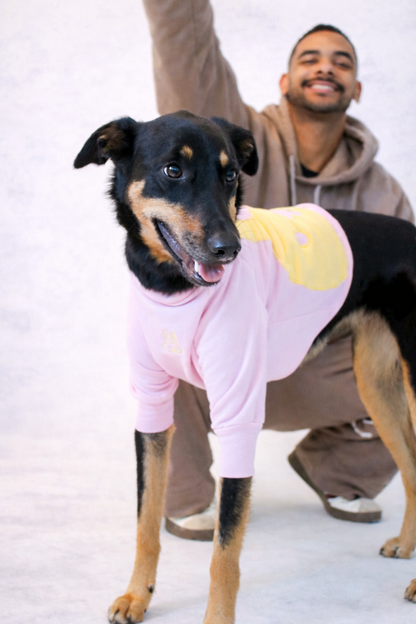 The Athena Dog Jumper