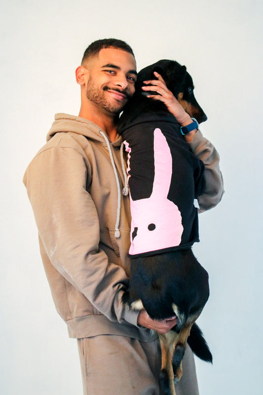 The Athena Dog Jumper