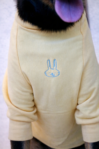 The Bailey Dog Jumper