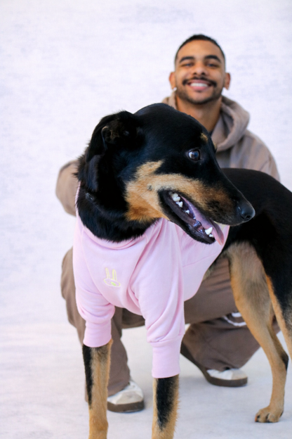 The Bailey Dog Jumper